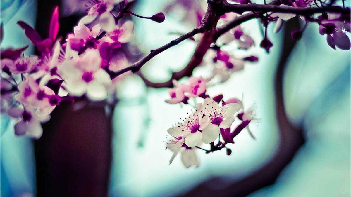 Sales professional presenting business case to executive team in a modern Nigerian office