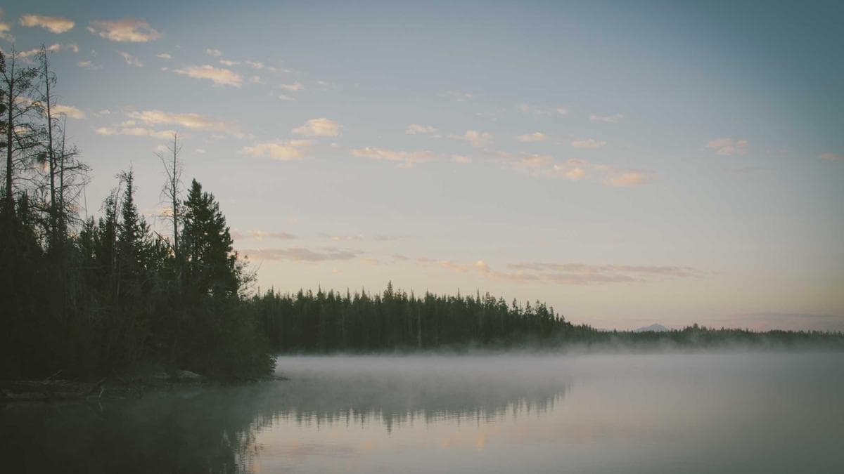 How to Build Authority in a New Market