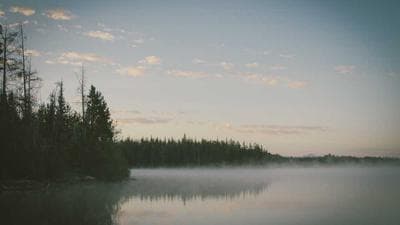 How to Build Authority in a New Market