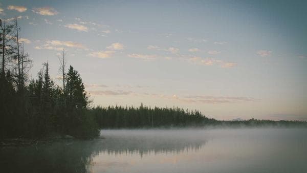 How to Build Authority in a New Market