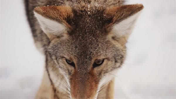 The Cold Email That Actually Gets Replies