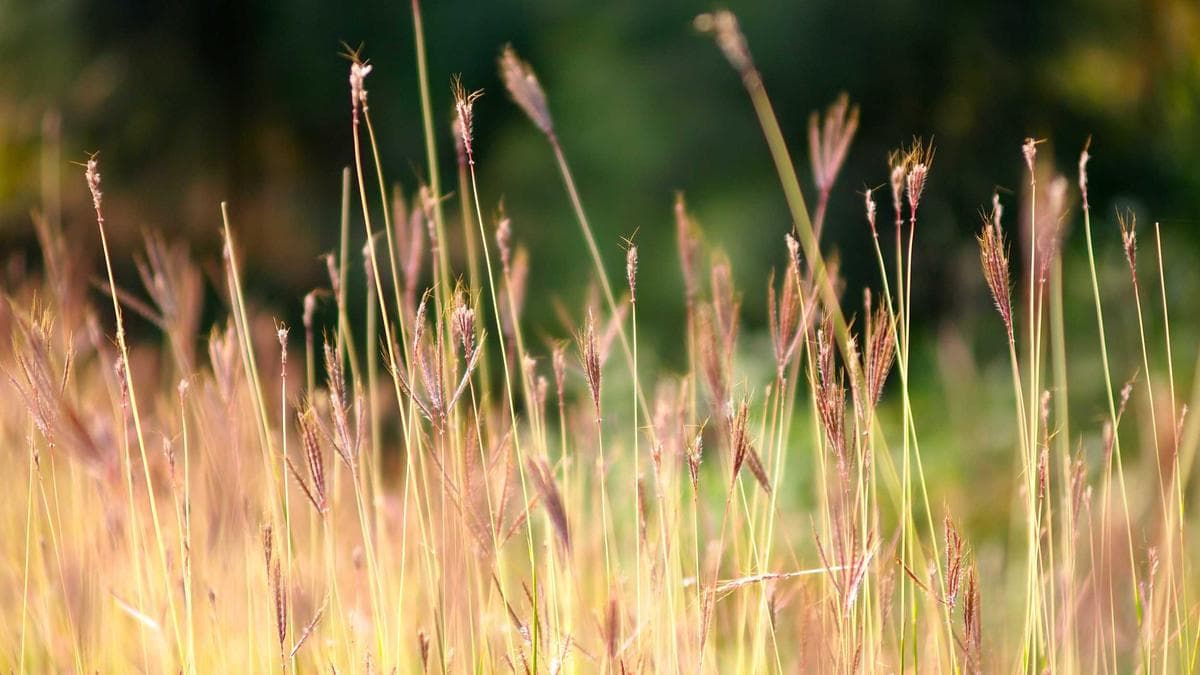 Consultative vs Transactional Sales: Why the Distinction Matters