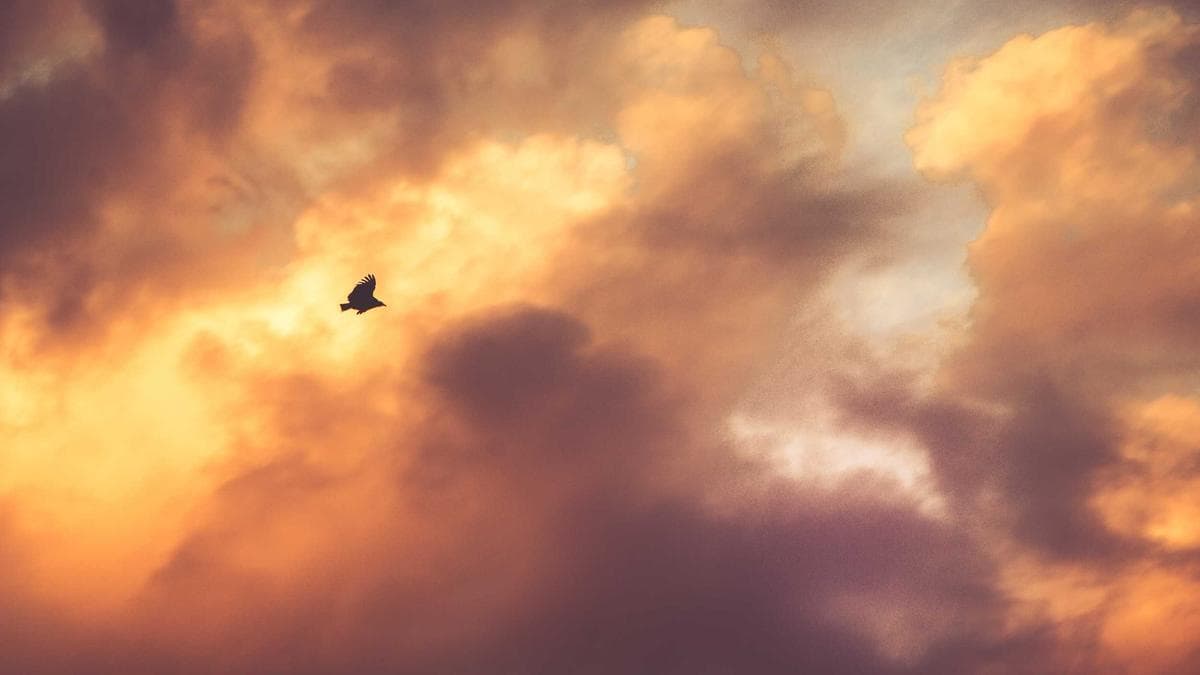 What I Learned Running Sales Teams on 4 Continents