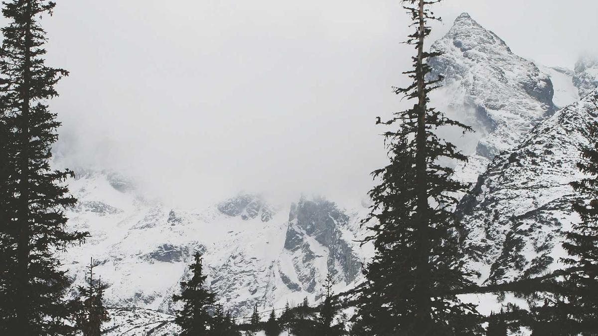 Close-up of a LinkedIn profile on a phone screen with visible headline and featured content