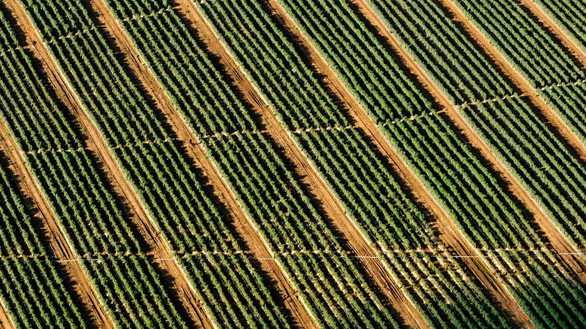 5 Books Every Tech Sales Professional Should Read