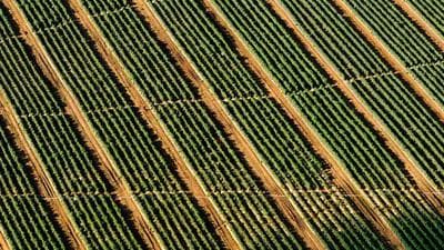 5 Books Every Tech Sales Professional Should Read