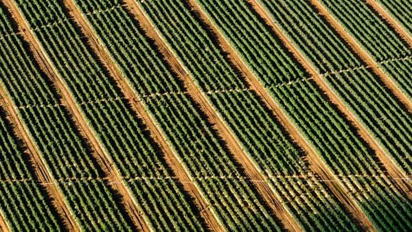 5 Books Every Tech Sales Professional Should Read