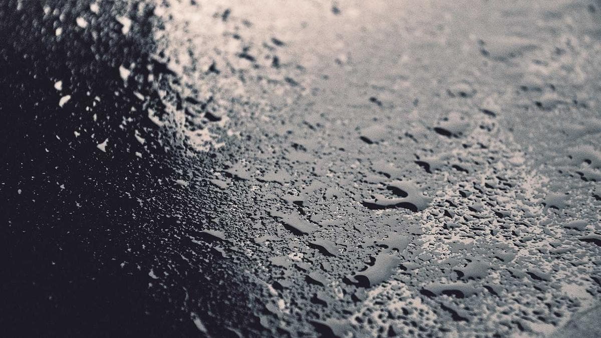 Young sales professional studying with notes and a book at a coffee shop