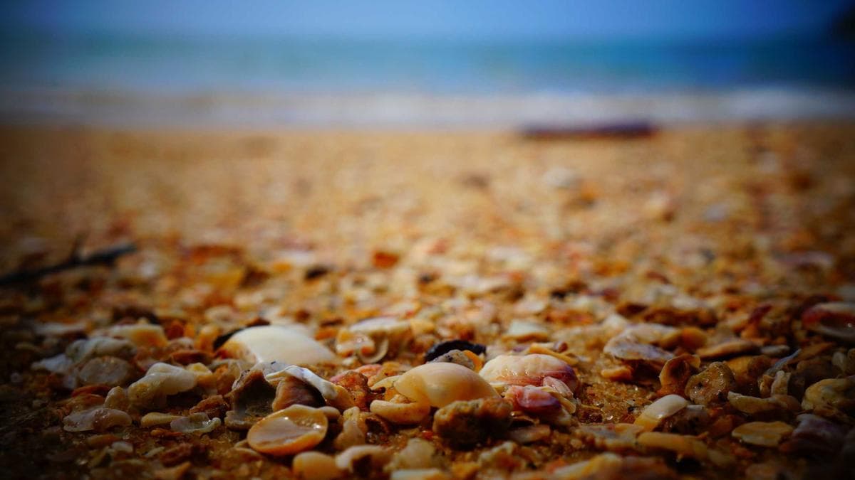 The Hidden Cost of a Bad Sales Hire