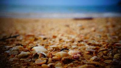 The Hidden Cost of a Bad Sales Hire