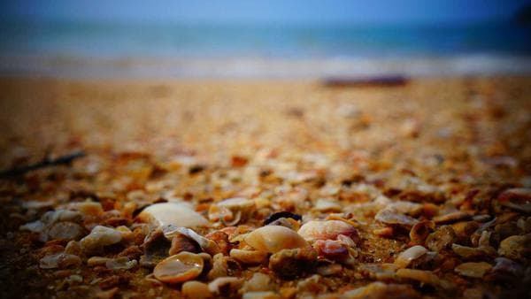 The Hidden Cost of a Bad Sales Hire