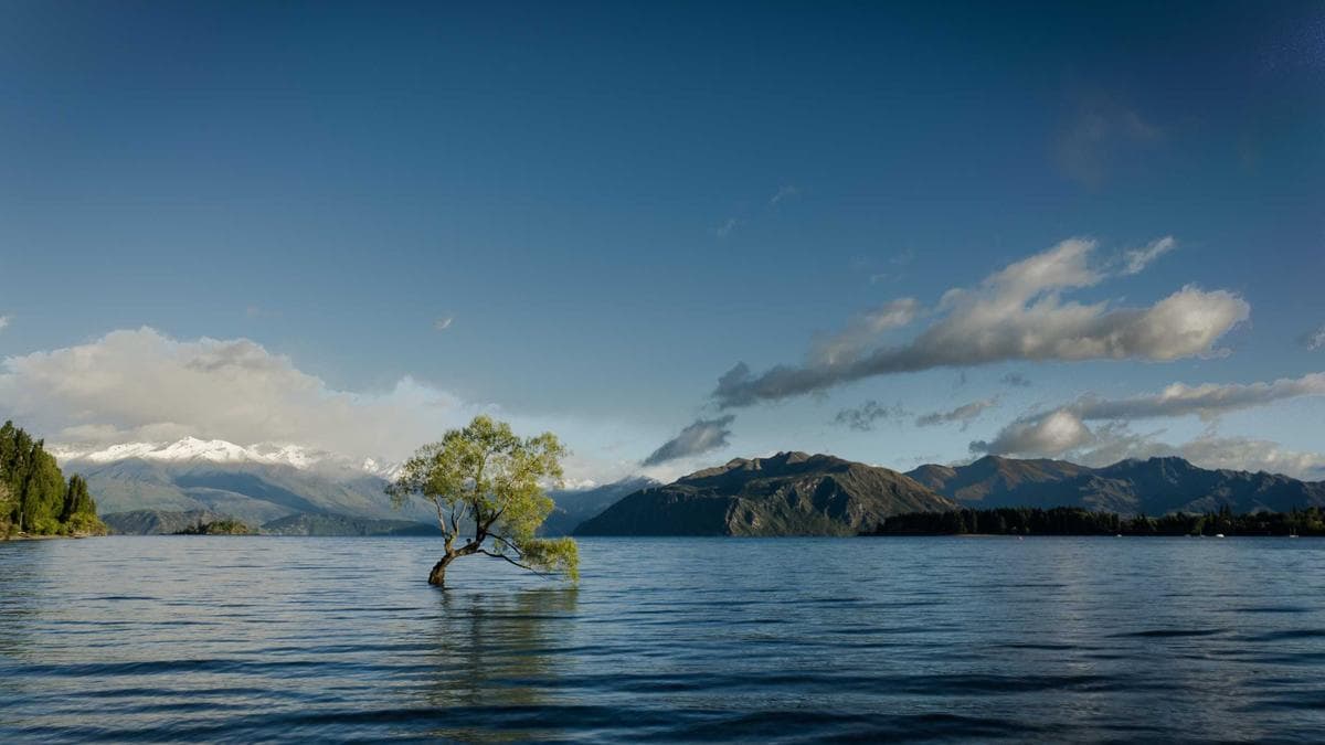 Should You Go for an SDR or AE Role First?