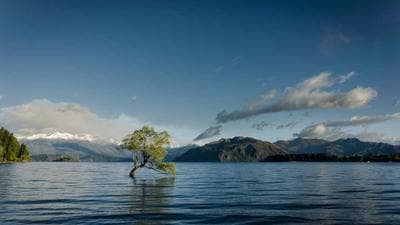 Should You Go for an SDR or AE Role First?