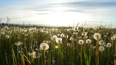 Why SDRs Fail in Their First 90 Days