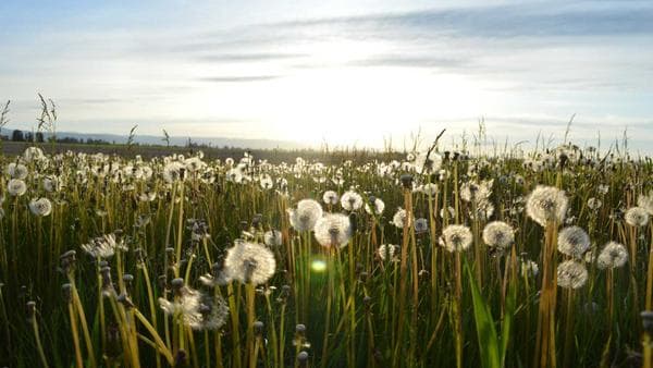 Why SDRs Fail in Their First 90 Days